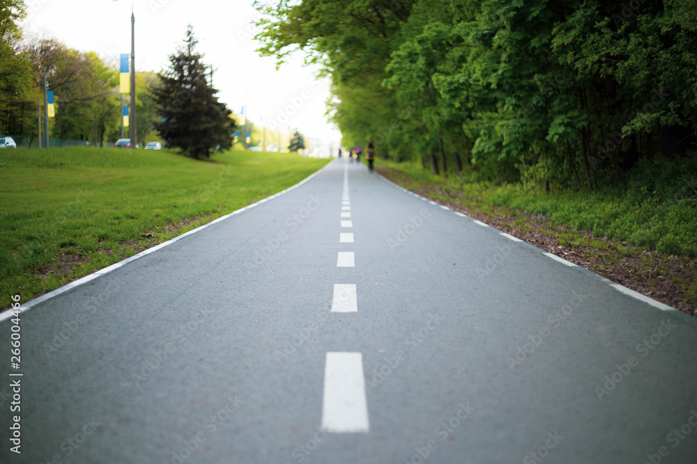 road in the park lines start finish bicycle road stripes life green road road in the park lines start finish bicycle road stripes life green road