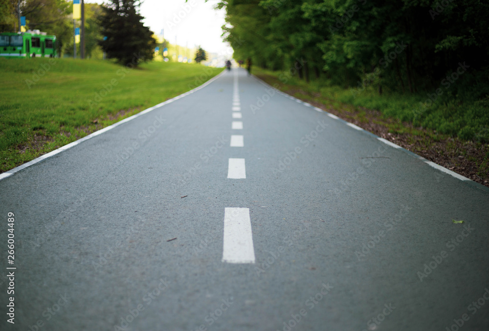 road in the park lines start finish bicycle road stripes life green road road in the park lines start finish bicycle road stripes life green road
