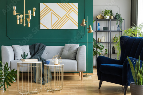 Φωτογραφία Gray sofa and navy armchair in modern elegant interior