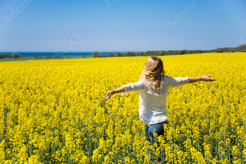 Back view of woman standing in the yellow field under blue sky. Perfect background. © Oleksandr