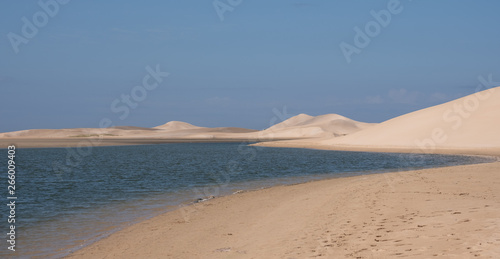 The Alexandria coastal dune fields near Addo / Colchester on the Sunshine Coast in South Africa. The dunes were photographed from the Sundays River.
