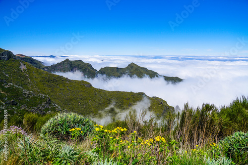Landscape at Pico de Ruivo in Madeira island in a beautiful sunny day