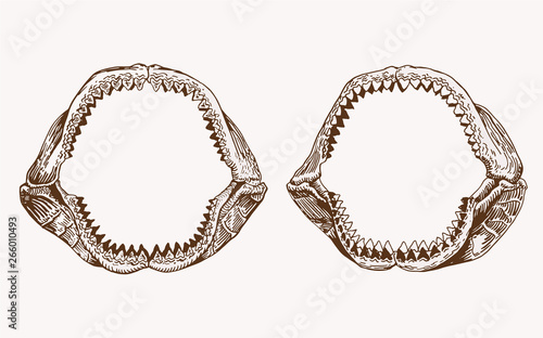 Graphical vintage set of shark jaws , vector retro illustration
