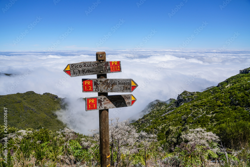 Landscape at Pico de Ruivo in Madeira island in a beautiful sunny day