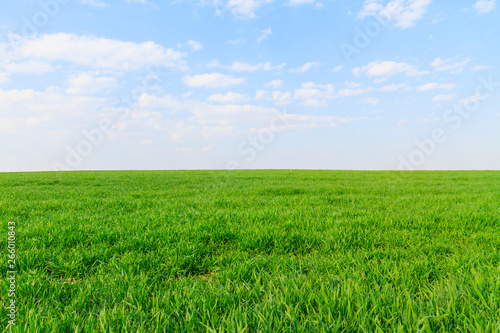 classic screensaver for computer, green field and blue sky