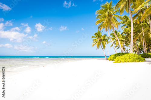 Fototapeta Naklejka Na Ścianę i Meble -  tropical beach at isla saona