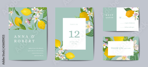 Set of Botanical wedding invitation card, vintage Save the Date, template design of lemons fruit flowers and leaves, blossom illustration. Vector trendy cover, graphic poster, brochure