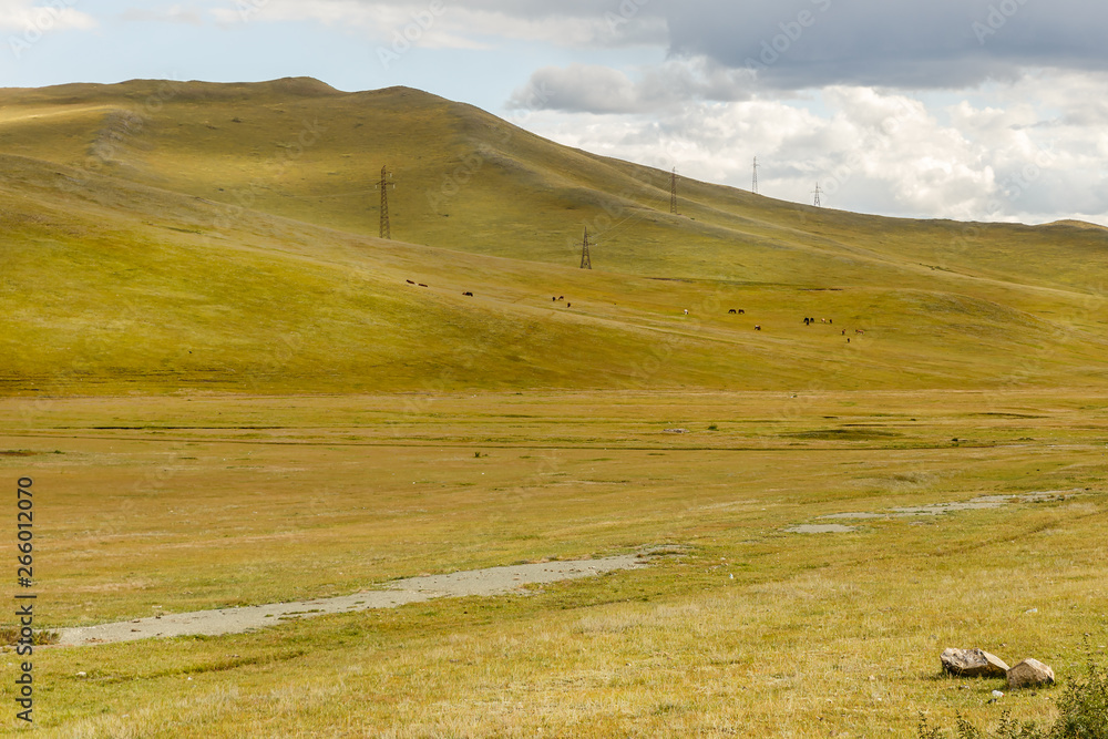 High-voltage power line runs through the hills in Mongolia, beautiful Mongolian landscape