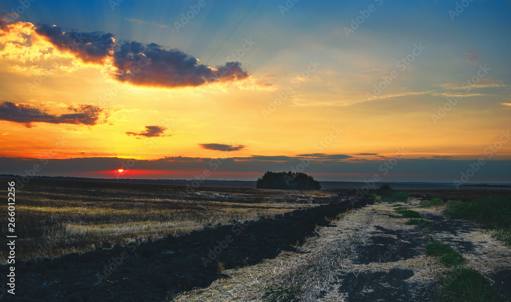 Beautiful view of bare fields after harvesting at sunset