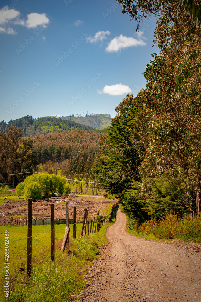 Obraz premium Praderas de campo de la region de la Arucania con cerros, Chile