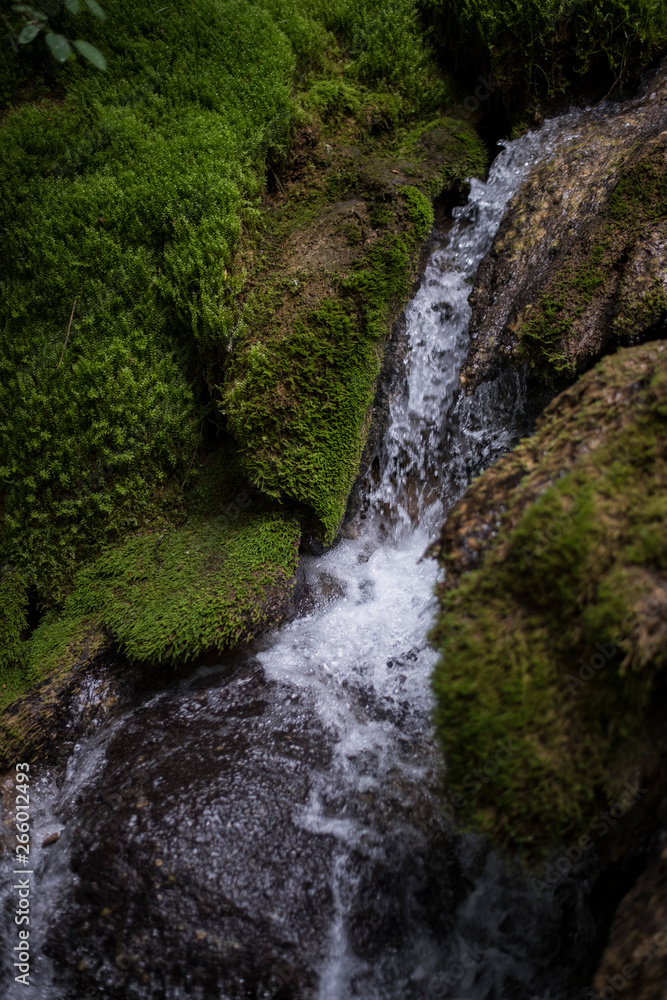 waterfall in forest waterfall in forest