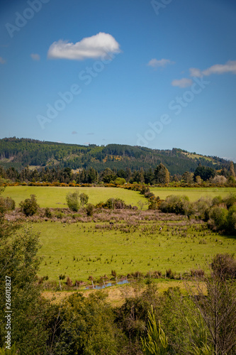 Praderas de campo de la region de la Arucania con horizontes azules y muy verdes © PatricioAlexander