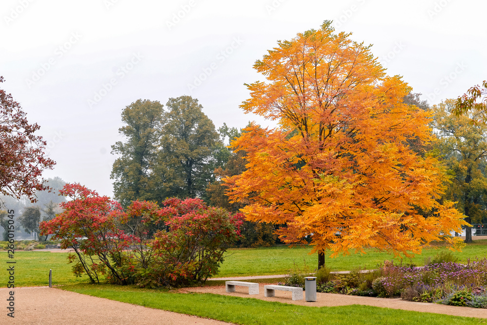 Naklejka premium Park im Herbst