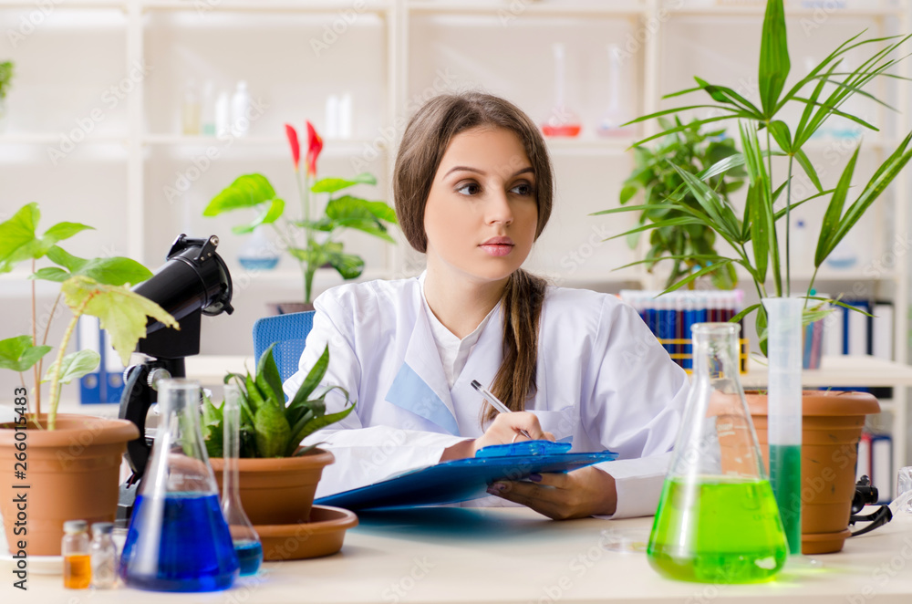 Young beautiful biotechnology chemist working in the lab Young beautiful biotechnology chemist working in the lab