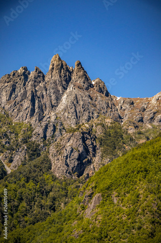 La peineta, region de la Arucania, Chile