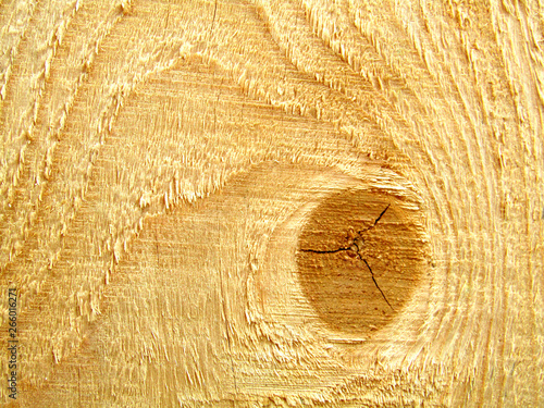 Pattern of raw fir wood after cutting. Fir wood plank. Macro.