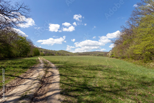 Fototapeta Naklejka Na Ścianę i Meble -  Green meadow in the Pilis