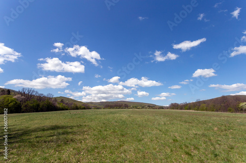 Green meadow in the Pilis