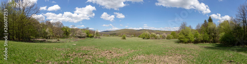 Green meadow in the Pilis