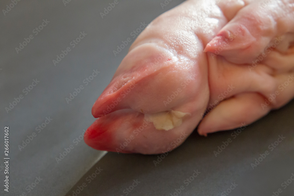 Fototapeta premium Chopped off foot of a slaughtered domestic pig prepared for further processing