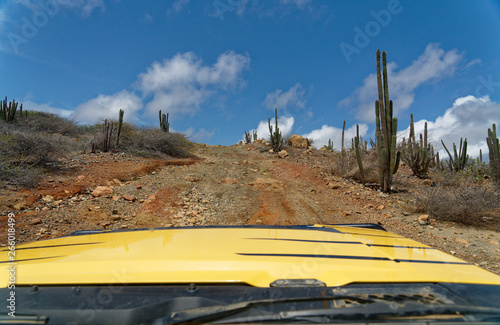 Jeep View
