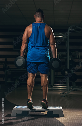 Back view of strong healthy athlete with dumbbells training in gym