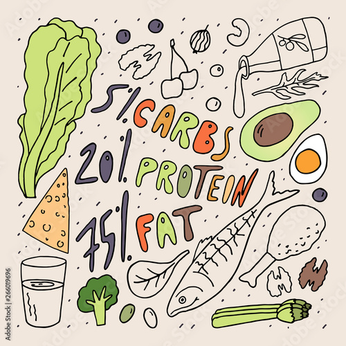 Keto diet concept . Carbs protein fat in percent . Doodle style vector illustration . Freehand color drawing .