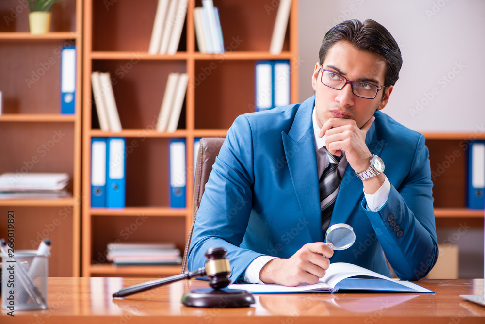 Lawyer working in the office Lawyer working in the office