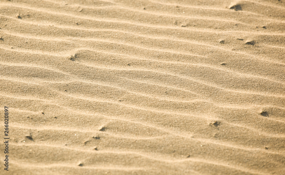 Close-Up Of Sand Background Texture Close-Up Of Sand Background Texture