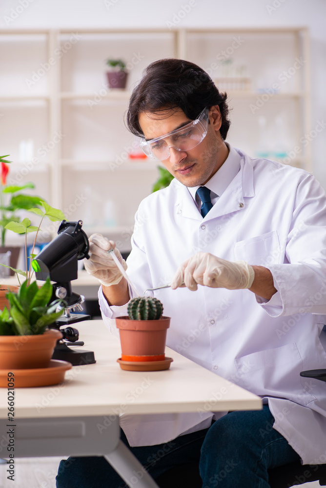 Biotechnology chemist working in lab Biotechnology chemist working in lab