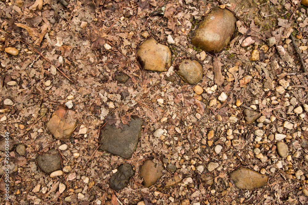 Trial Rocks Rocks on a trail. St. Mary's River State Park, Leonardtown, MD, USA ...