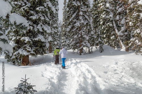 Snowshoeing in Colorado 