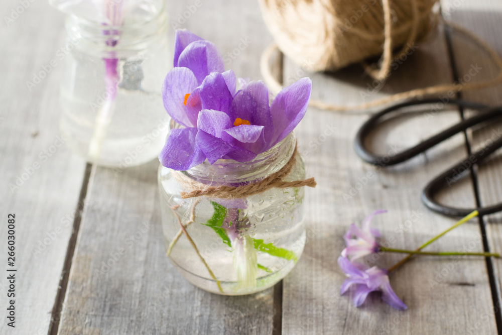 Beautiful crocus flowers in glass vase on wooden table Beautiful crocus flowers in glass vase on wooden table