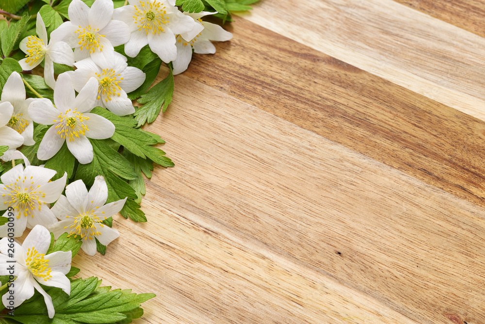 Snowdrops on wooden background Snowdrops on wooden background