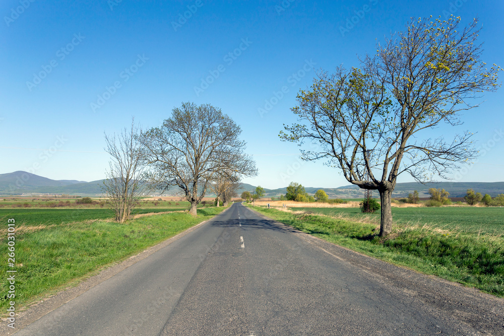 Fototapeta premium Road in the Zemplen