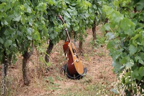 guitare acoustique