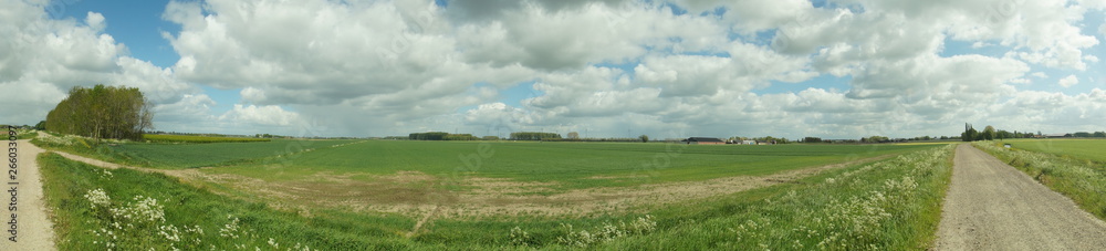 landscape with green field and blue sky