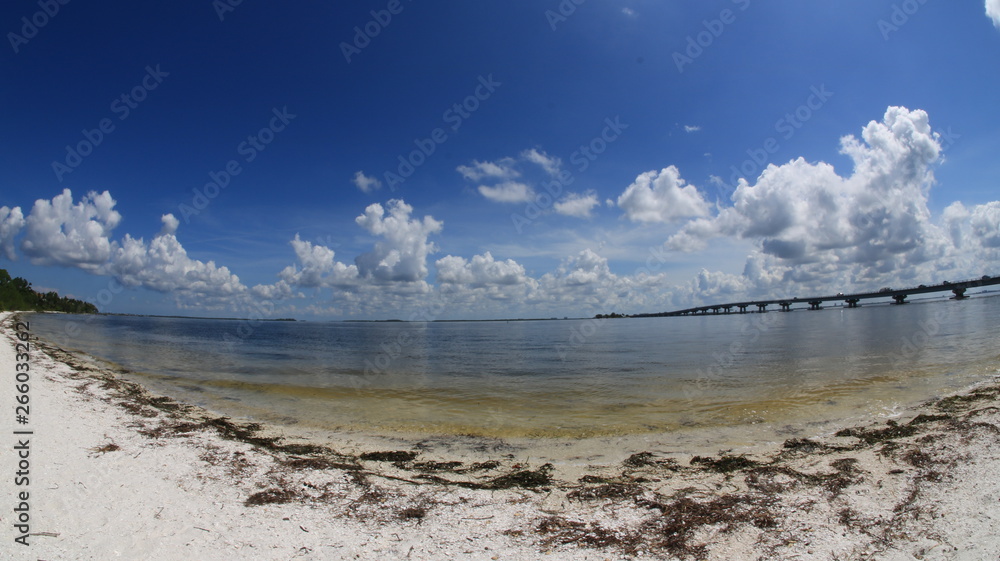 Obraz premium Bailey Beach view