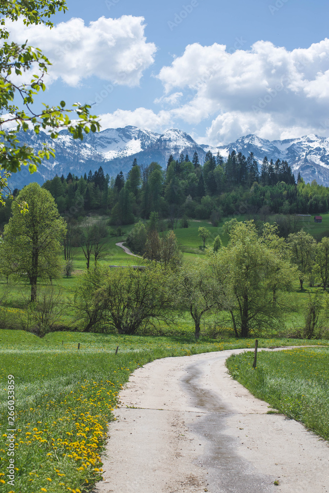 Village road on the spring landscape with Julian Alp mountains valley in Slovenia- Bohinj Area , with green meadon