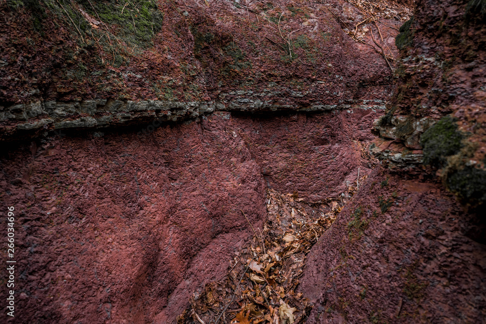 Red rock beautiful water made canyon in wild forest Red rock beautiful water made canyon in wild forest