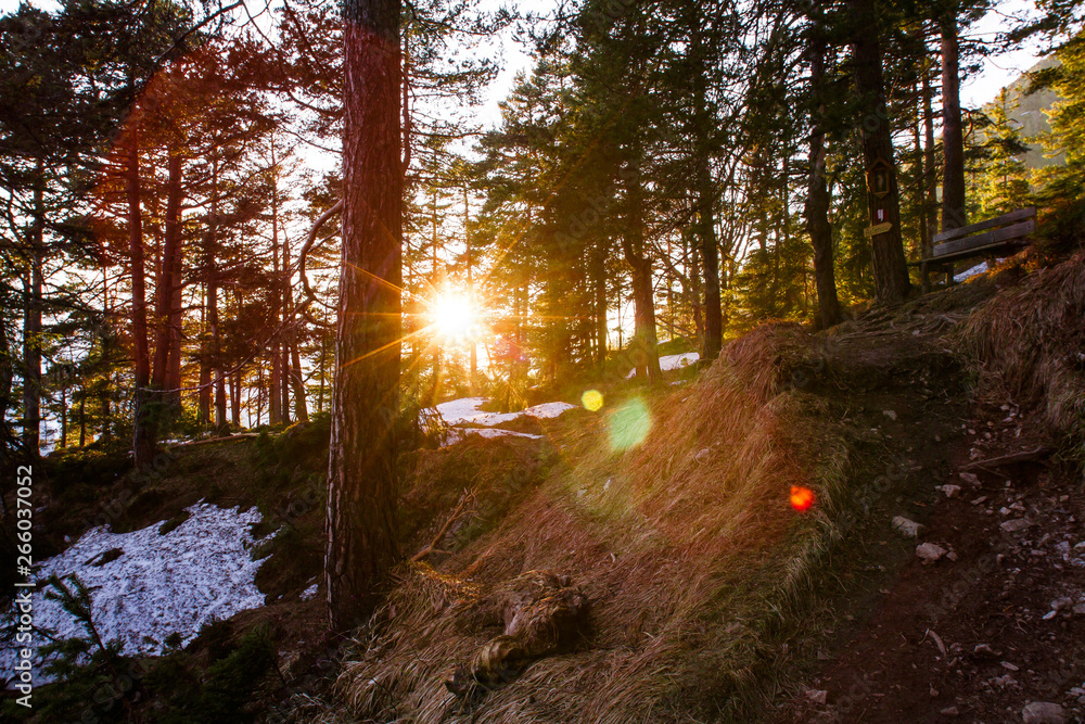Fototapeta premium Wanderweg mit Abendsonne