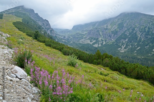 Nature in the High Tatras