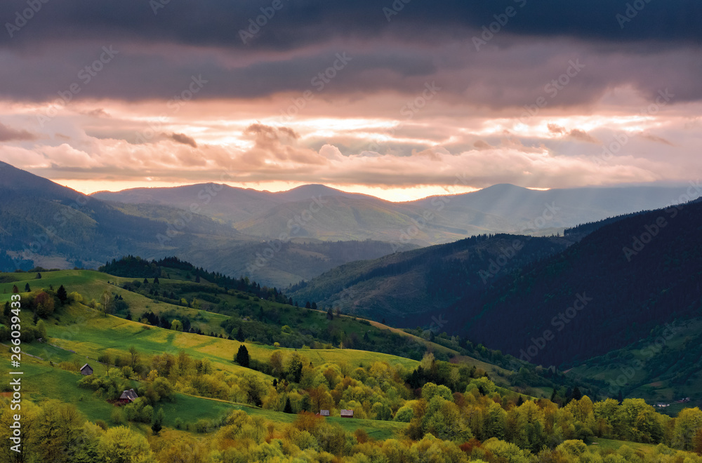 mountain rural area in springtime. agricultural fields on hills with forest. beautiful and vivid countryside landscape with cloudy sky at sunset.