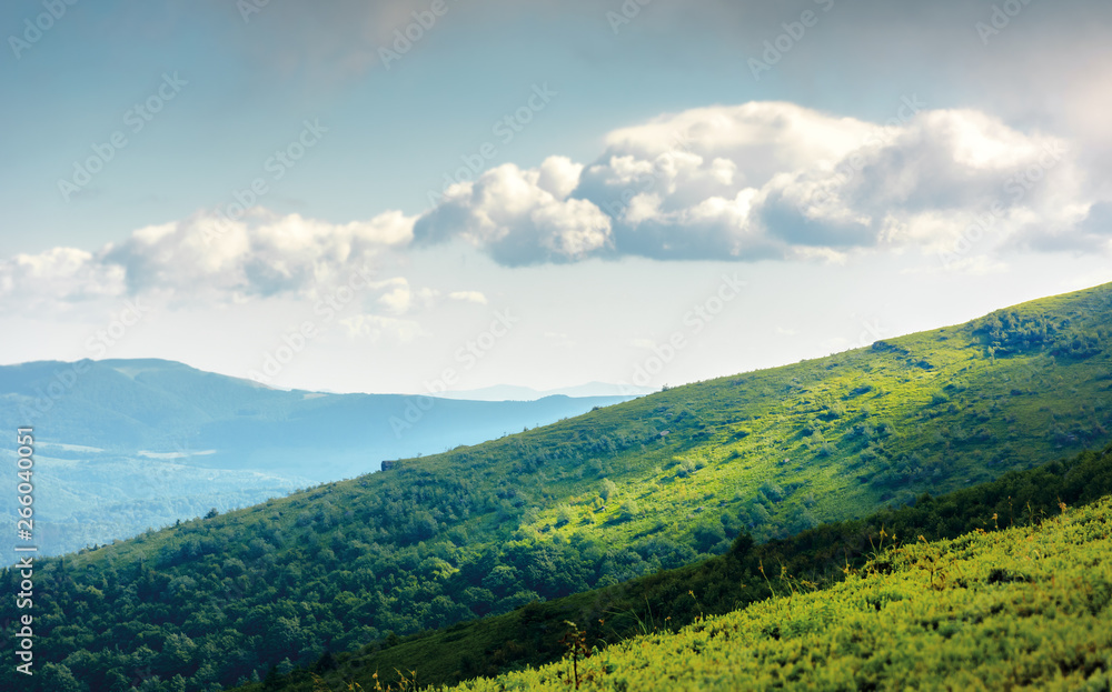 Naklejka premium summer landscape in mountains. green grassy meadows on top of the ridge. blue sky with white clouds