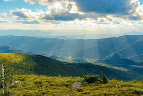 grassy meadow of a hillside on top of mountain ridge. beautiful summer landscape with blue sky and a cloud at sunset © Pellinni