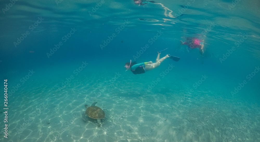    Snorkelling with turtles Views arund the small caribbean Island of Curacao