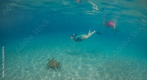  Snorkelling with turtles Views arund the small caribbean Island of Curacao