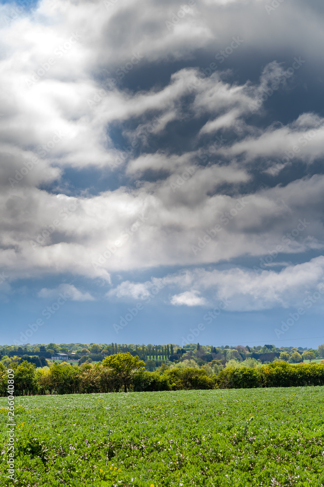 clouds above the field before the rain
