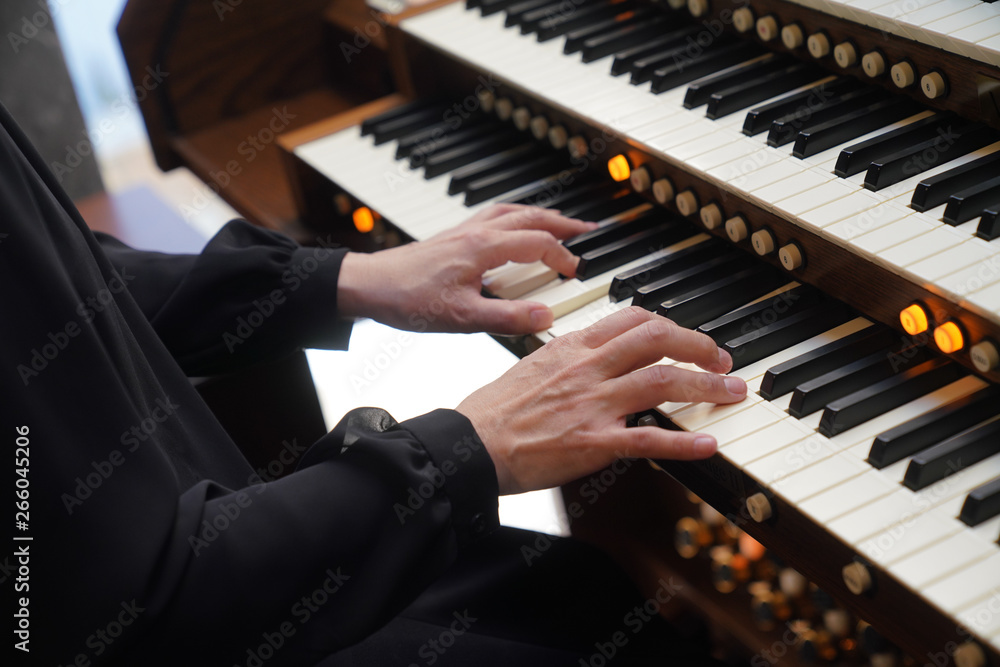 Obraz premium エレクトーン奏者