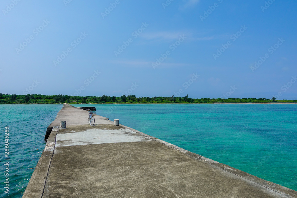 Obraz premium 伊古桟橋